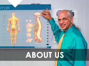 Chiropractor About Us Meet The Team